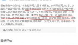 陪玩新闻爆料怎么写文案,新闻爆料背后的真实故事